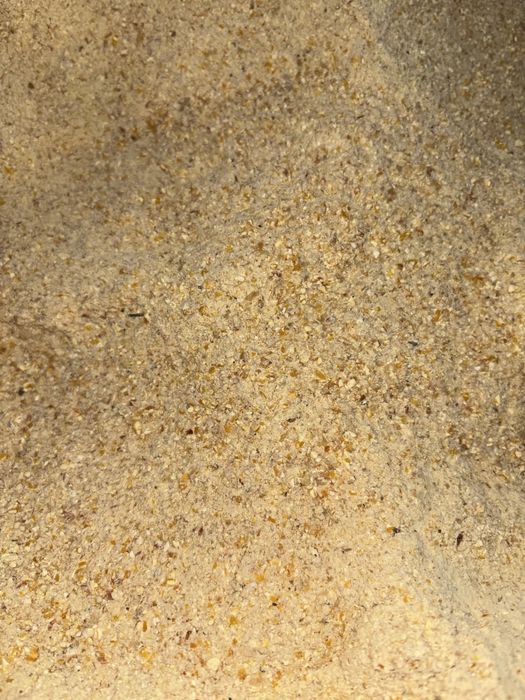 otręby śruta kukurydziana cornmix