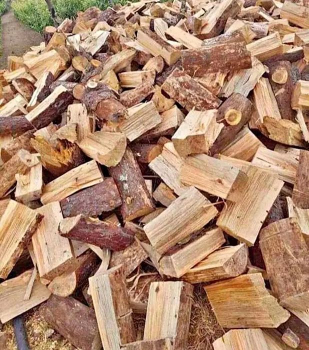 Lenha seca pinho 40€ m3