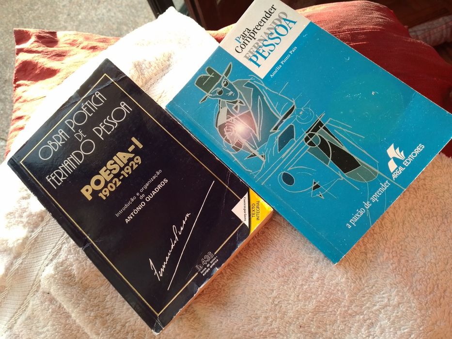 A morte do Rei- Margarida Palma-1 ediçao -8E-.Fernando Pessoa e literatura -1 edicao -8E Desde 2E