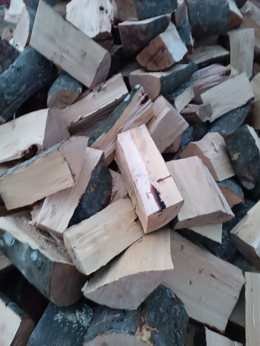 Drewno kominkowe