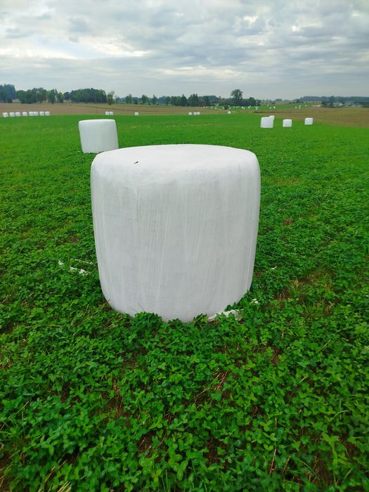 Sprzedam bele sianokiszonki  z koniczyny   lucerną i trawy