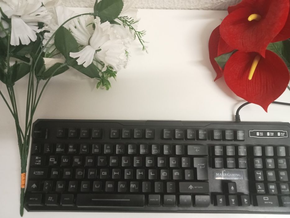 Teclado (bom estado)