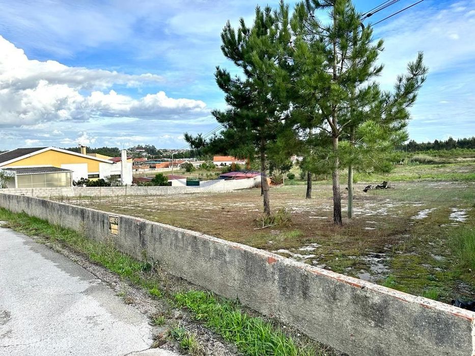 Terreno - Lameiro, Carvide — Monte Real E Carvide, Leiria