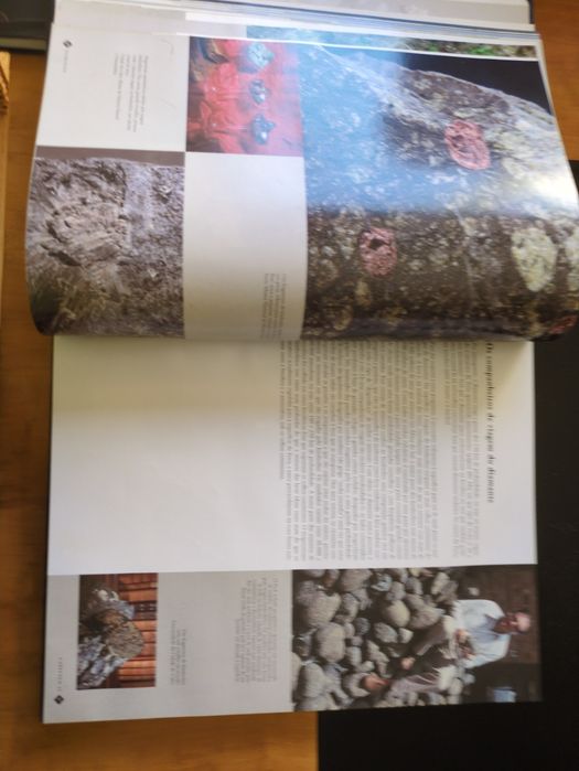 Diamantes direcção de Hubert Bari e Violaine Sautter