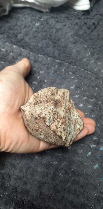 Duży METEORYT kamienny -  Chondryt L6 - NWA  z Algierii -  449,93g
