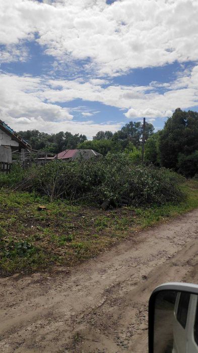 Продам дрова ,різані