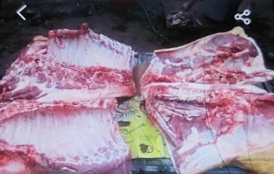 Продам домашнє мʼясо свинини