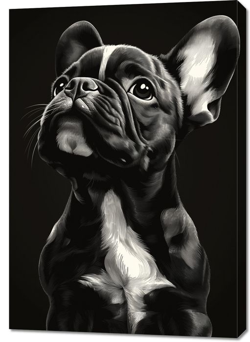 Obraz 70x100cm Portret Zwierząt do Salonu Buldog Francuski Czarno