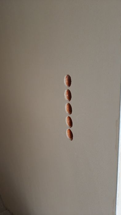 Tynki maszynowe gipsowe i  cementowo wapienne.