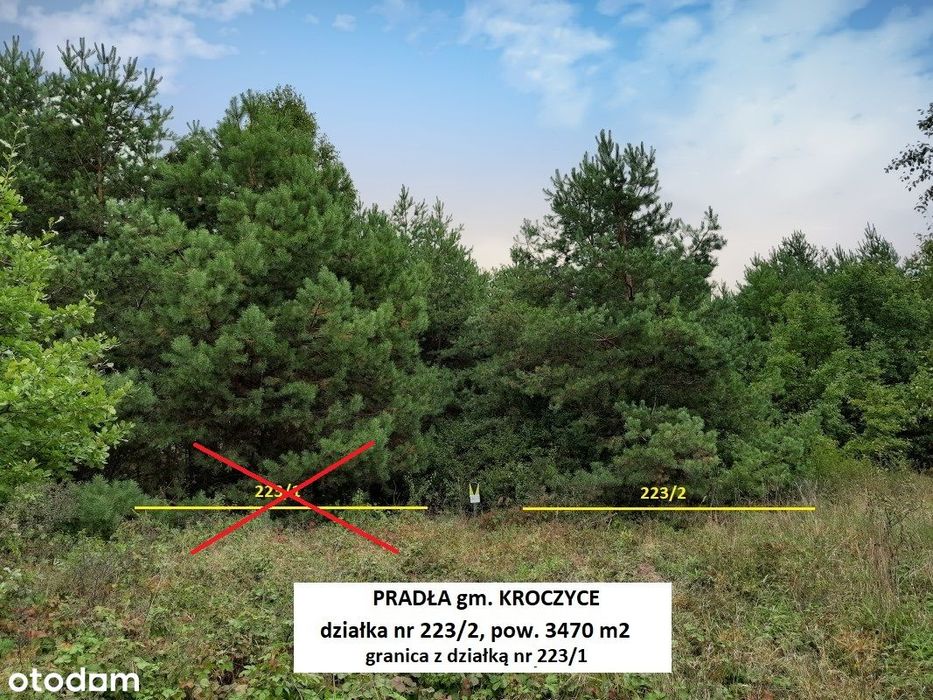 Jura tania działka rolna cena tylko 19.900zł