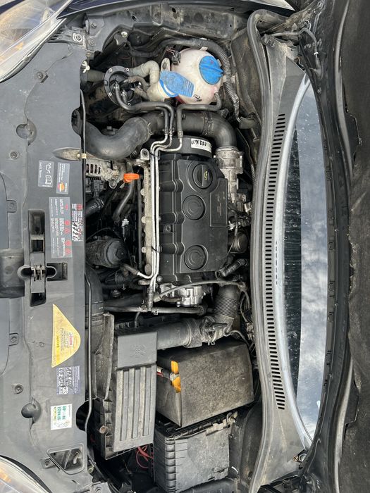 Seat Altea XL 1.9 TDI 105 KM | 2006 | 227 294 km |