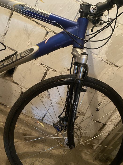 Rower gazelle puerto