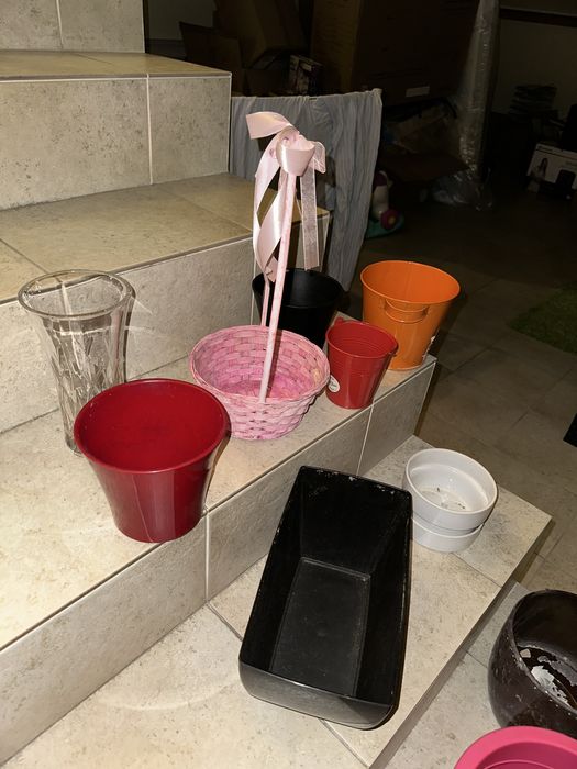 Vasos plantas variados