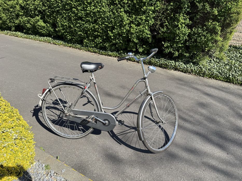 Rower holenderski