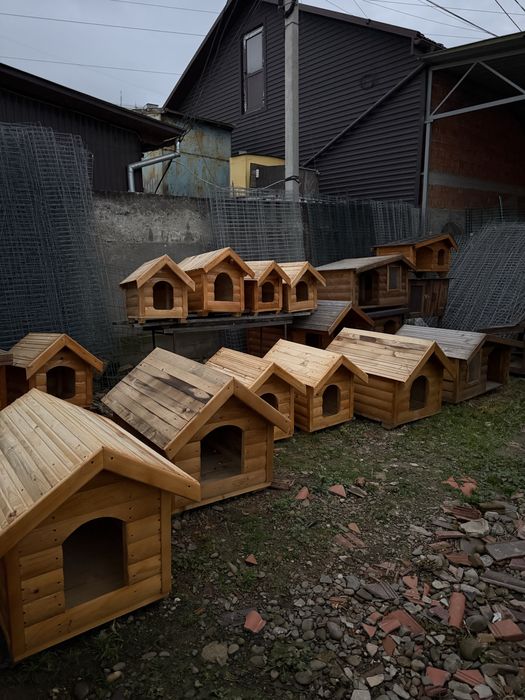 Собачі будки, будки, вольери