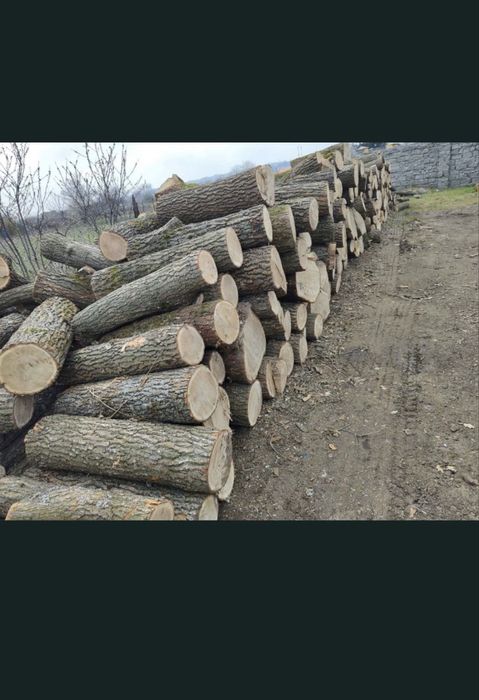 Дрова   Дуб  Акация   Ясен   Клен