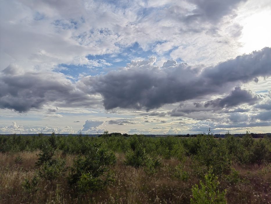 Działka budowlana w Strzelnie - Widok 3