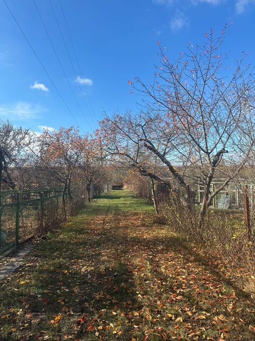 Дачний будинок с земельною ділянкою