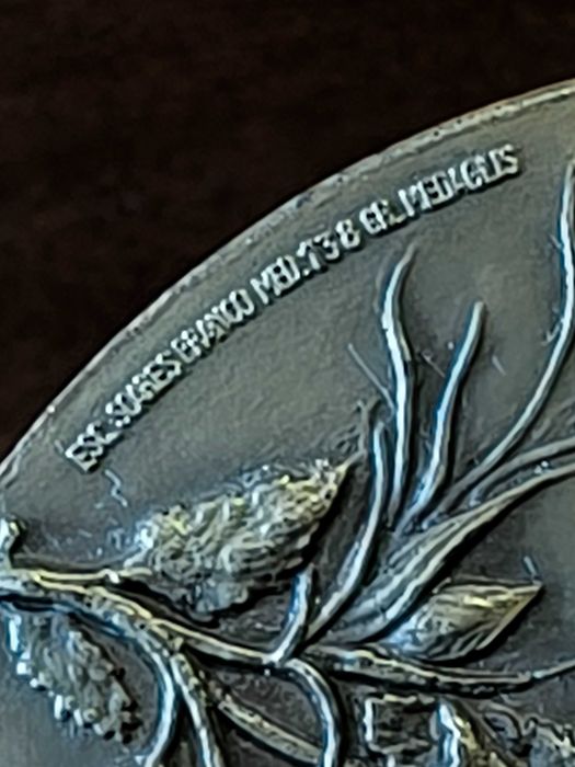 Medalha em Bronze alusiva ao centenário da morte do pintor Pedro Cruz 1888 / 1988