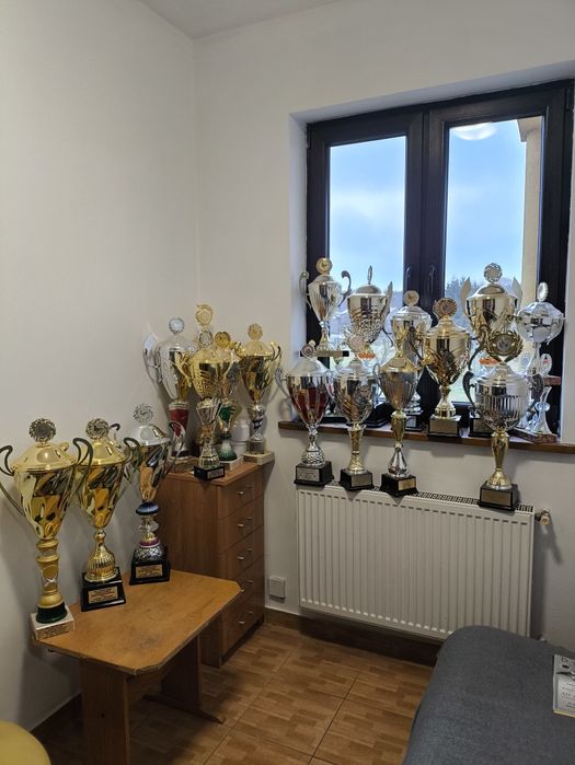 Gołębie pocztowe po wdowcach od wielokrotnego Mistrza okręgu, rejonu