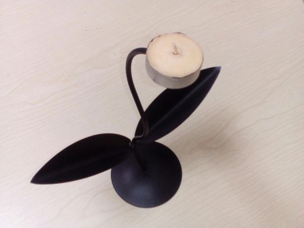 Castiçal Preto, com duas folhas