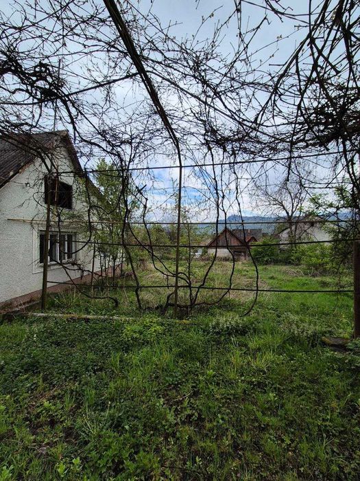 Продаються два будинки на просторій ділянці 25 соток в с. Бедевля