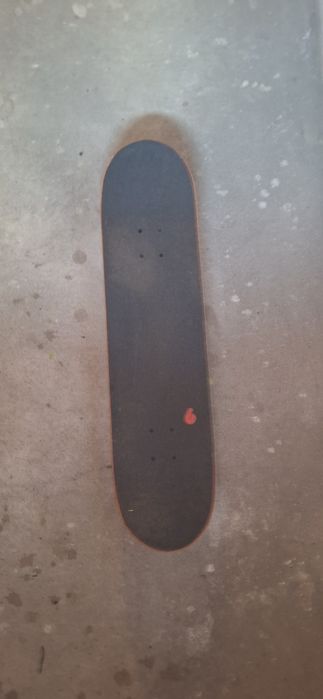 Deskorolka Skateboard Birdhouse logo 8 + narzędzia