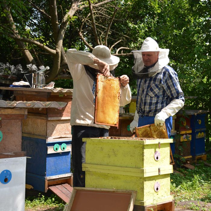 Акацієвий мед 2023 з власної пасіки