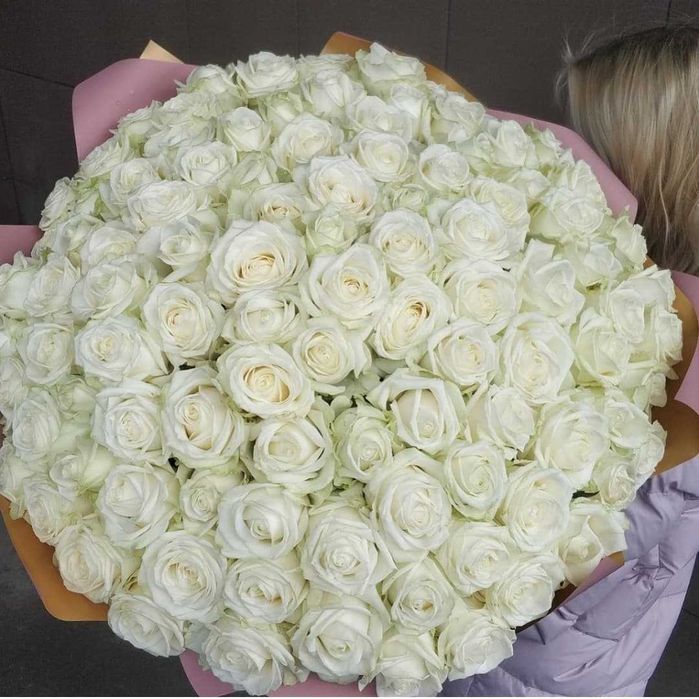 Свежая роза, доставка цветов Днепр, букет 151 роза, цветы