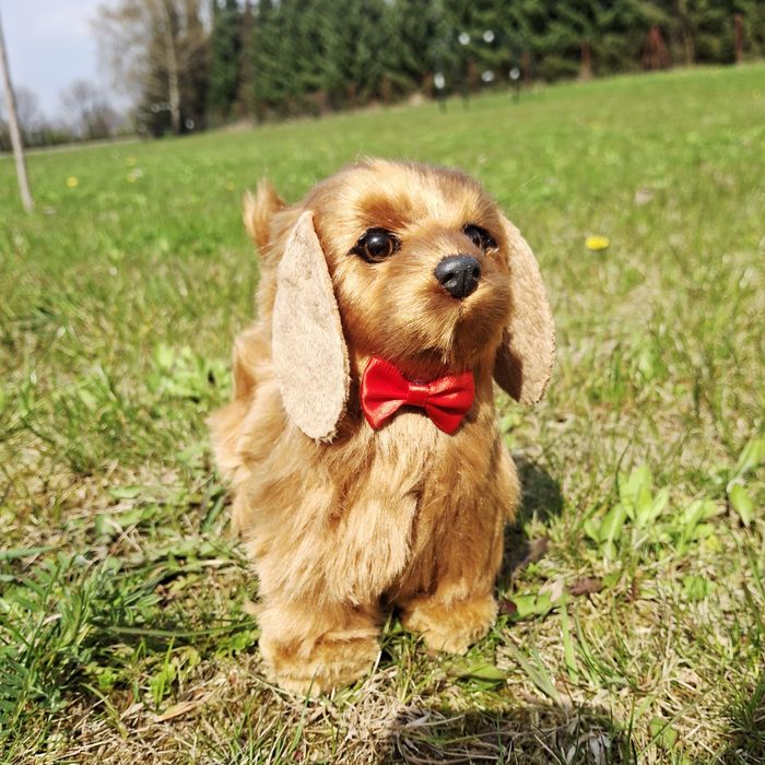 Piesek zabawka na baterie