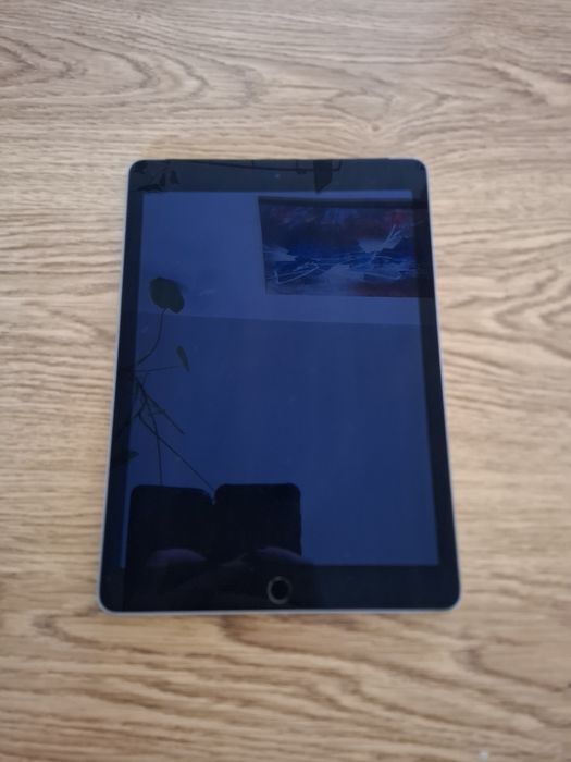 iPad Air 2 cellular model A1567