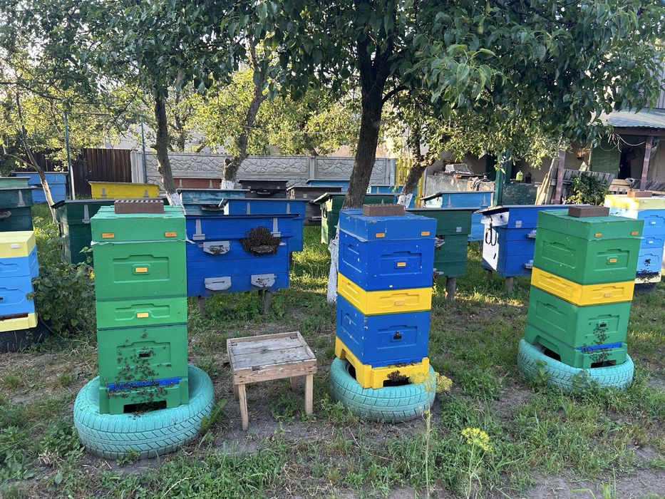 Шукаю ППУ/ППС вулики виробника Beehouse для пасіки