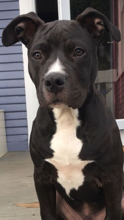 Терміново малята АСТ