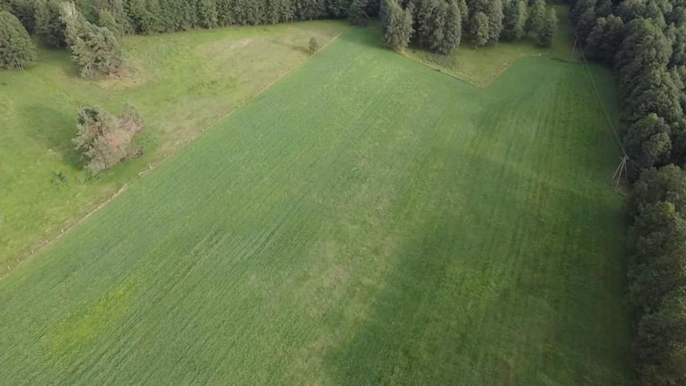 Działka 10.05 ha Mazury w Jednym Kawałku