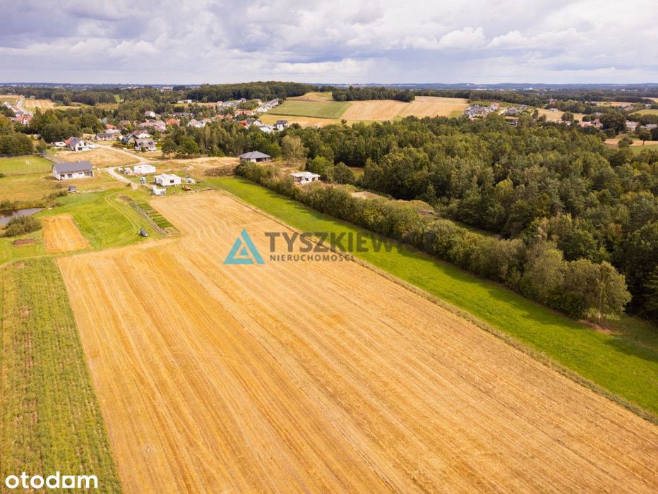 Wydane Warunki Zabudowy | Działka Czeczewo - Widok 3