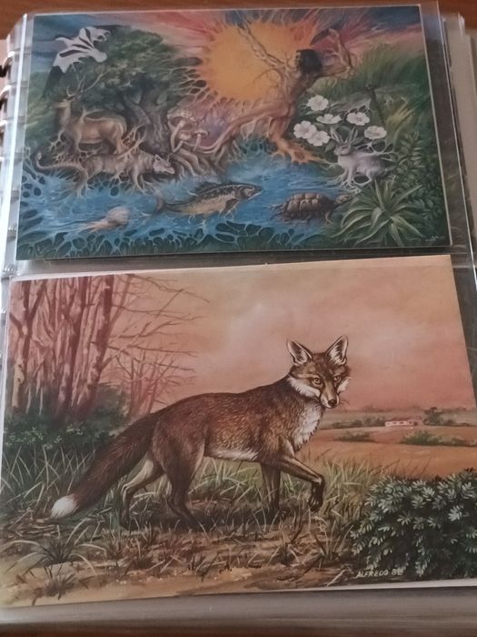 Dossier de colecção de postais diversos temas