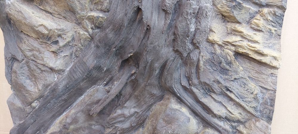 Tło strukturalne amazonka