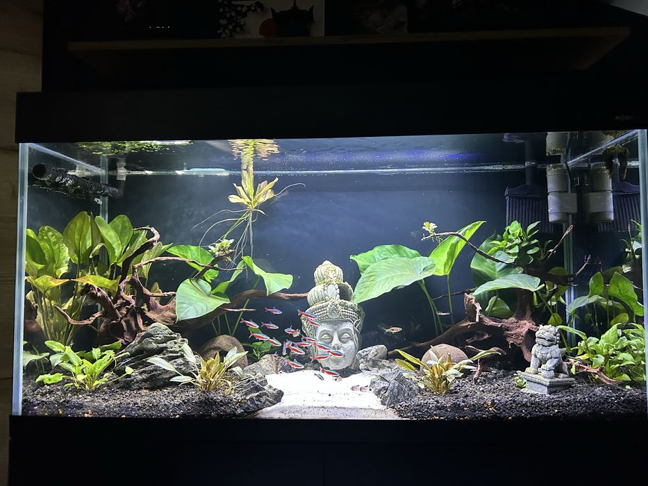 Akwarium Aquael Opti Set 200L - Gotowy zestaw / Ultramax