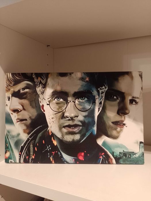Nadruk na płótnie Harry Potter
