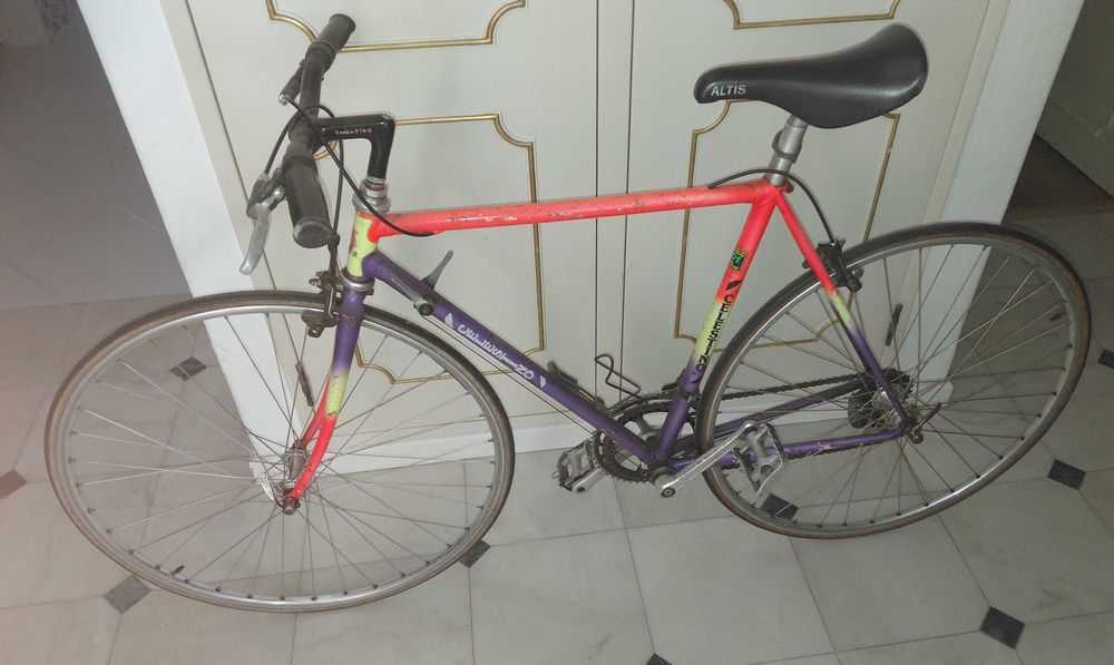 Bicicleta Urbana de Adulto