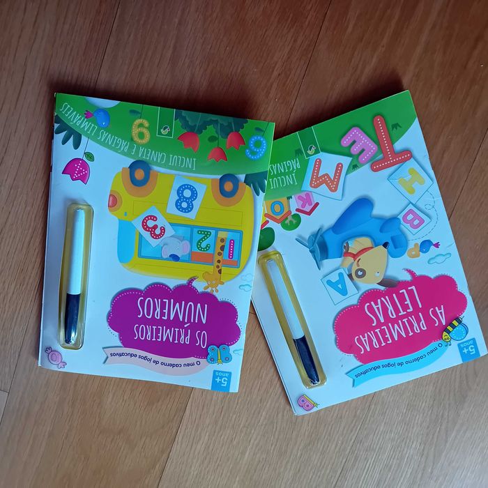 Write-and-Erase Books