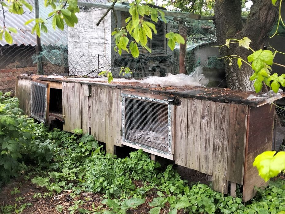 Клітки для кроликів