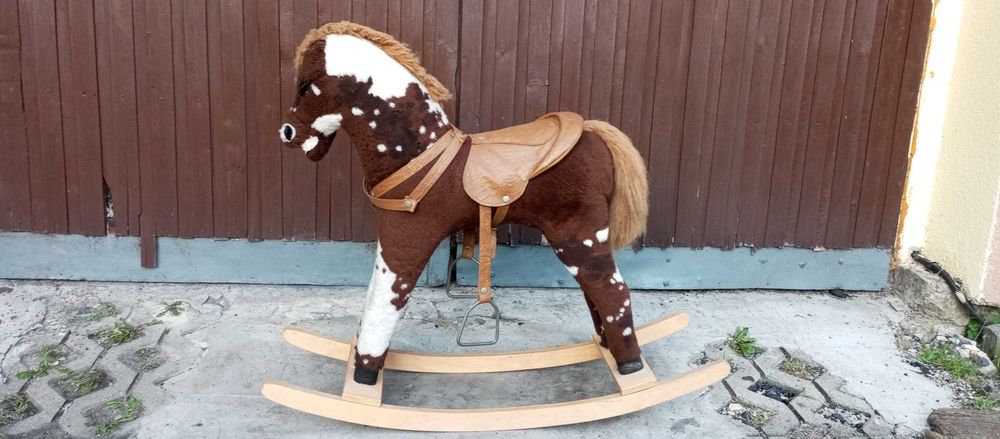 konik na biegunach