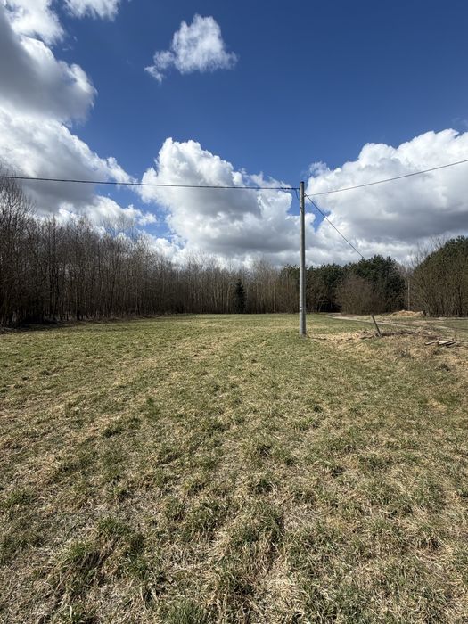 Dom z działką 3500 m2