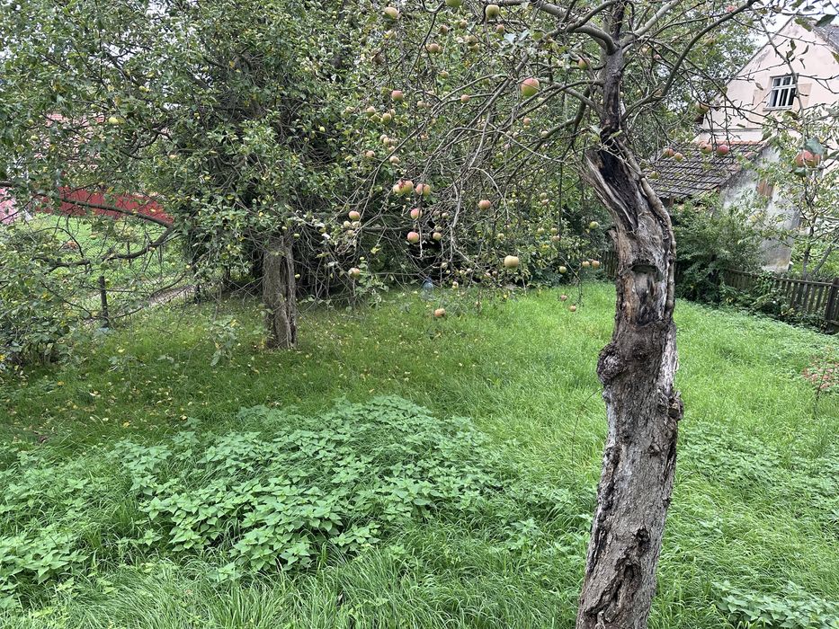 Продається цегляний будинок в гарній локаціі ,поблизу Трускавця.