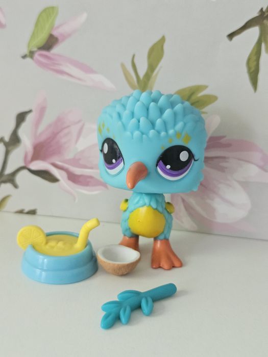Kiwi z akcesoriami