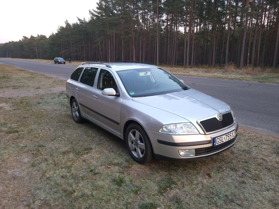 Skoda Octavia II 1.9 TDI 105 Opłaty na rok !