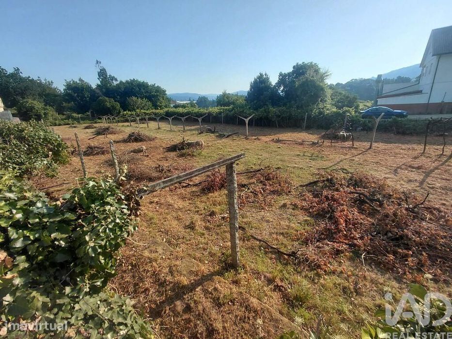 Terreno em Prado e Remoães