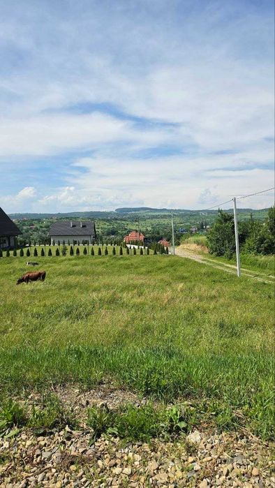 Продаж  ділянки під будівництво в Михальчі
