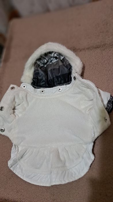 Курточка для собачки весна-осінь